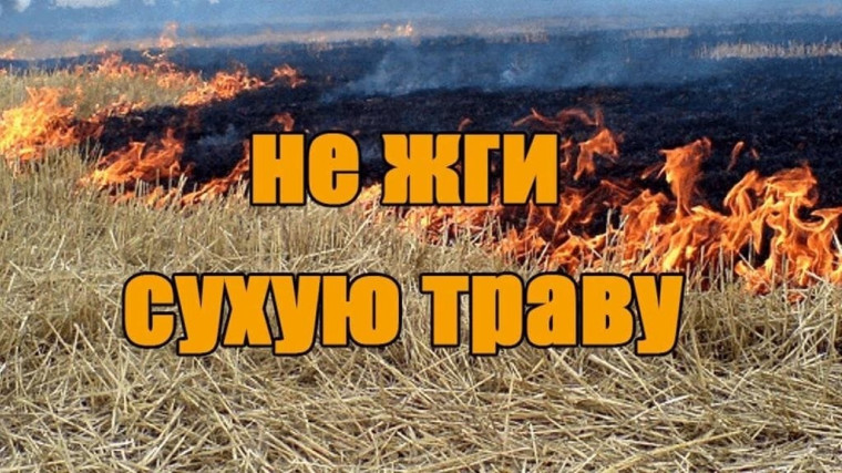 Пост безопасности при поведении себя на природе.